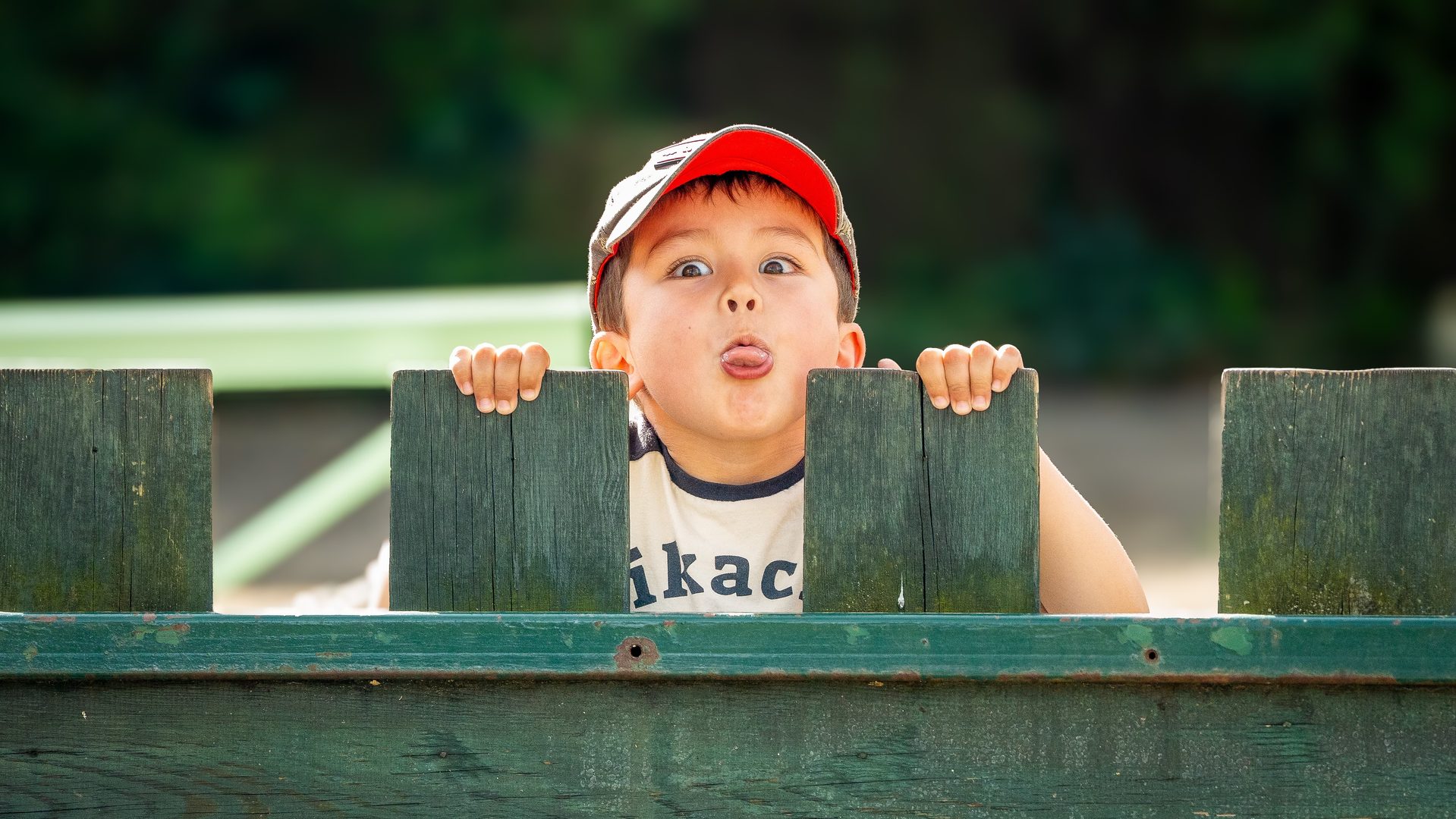 Portrait professionnel homme en lumière naturelle